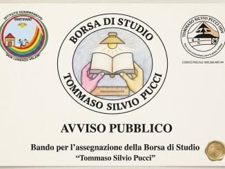 borsa di studio