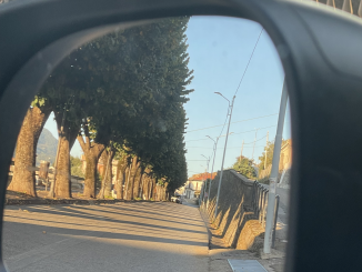viale-dallo-specchietto