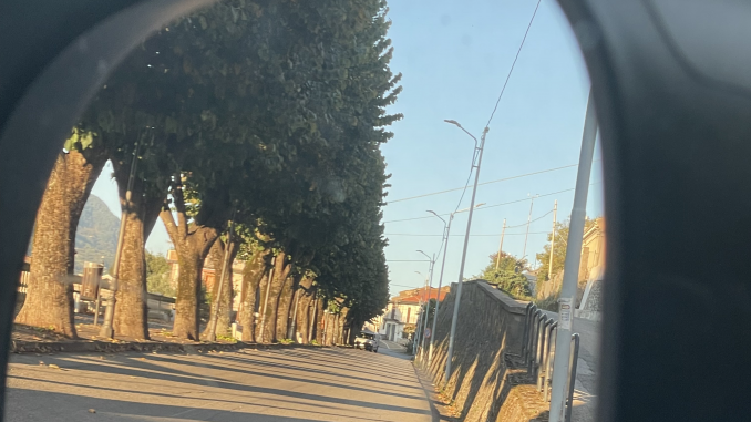 viale-dallo-specchietto