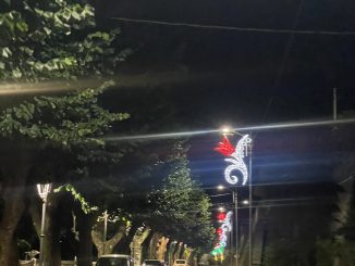 il viale dei tigli