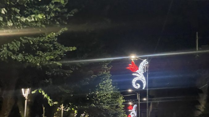 il viale dei tigli