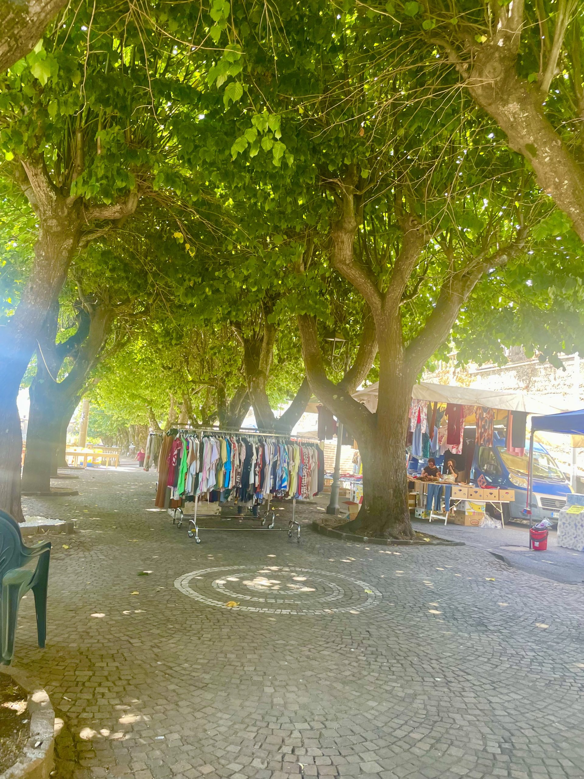 Viale dei Tigli a Martirano Lombardo, ombra e mercatino sotto gli alberi