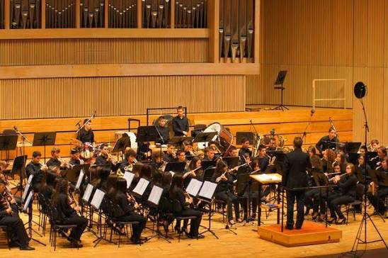 Orchestra Giovanile Paolo Ragone di Laureana di Borrello in concerto nella Sala d'Oro del Musikverein di Vienna